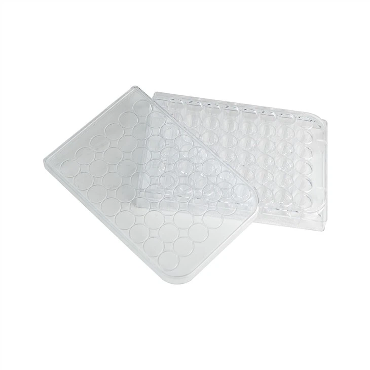 Tissue Culture Plate
